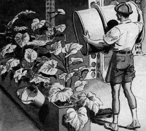 Illustration for article titled How Germany Planned to Fry the World